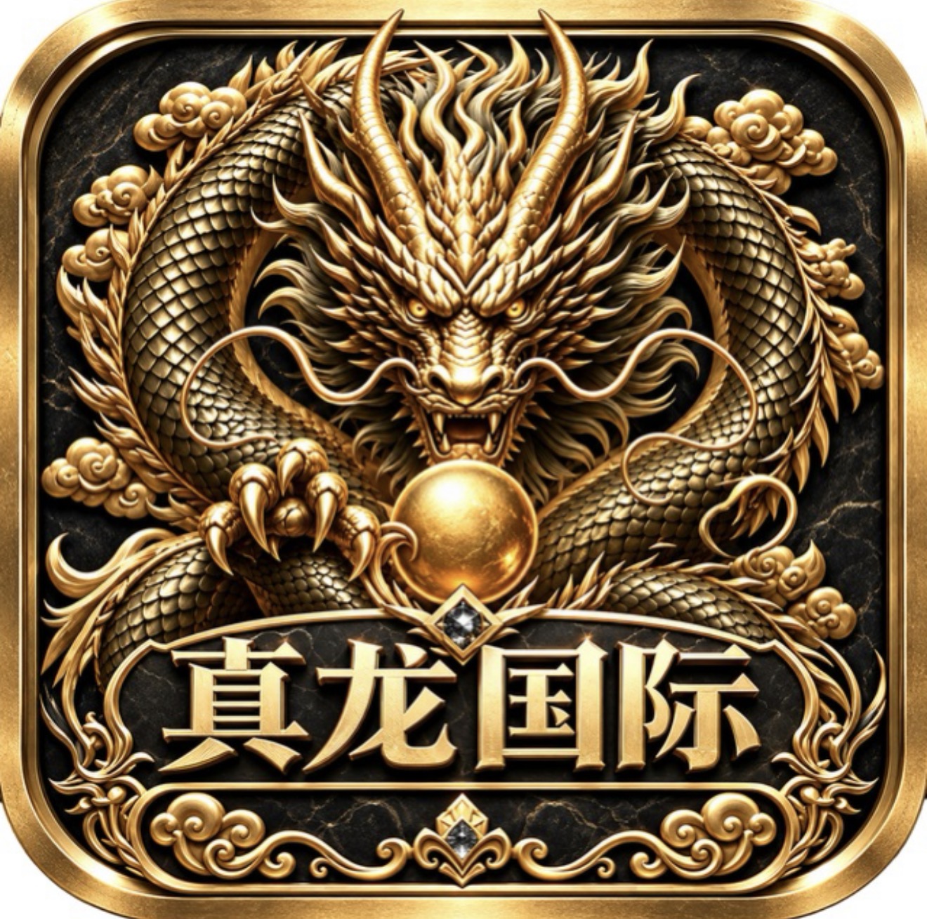 真龙国际